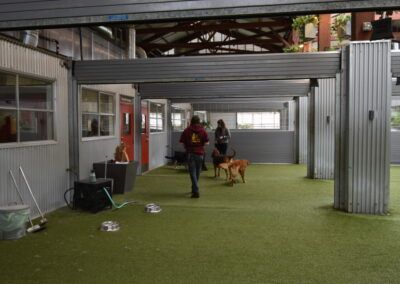 Pet Indoor/Outdoor Play Space with Retractable Roof