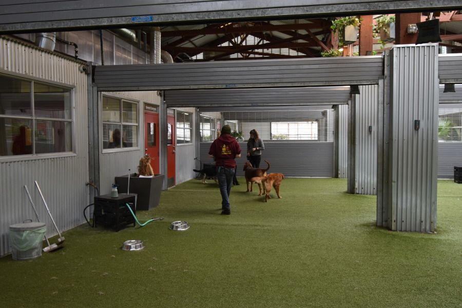 Pet Indoor/Outdoor Play Space with Retractable Roof